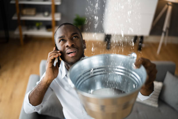Best Local water damage restoration  in Mccaysville, GA