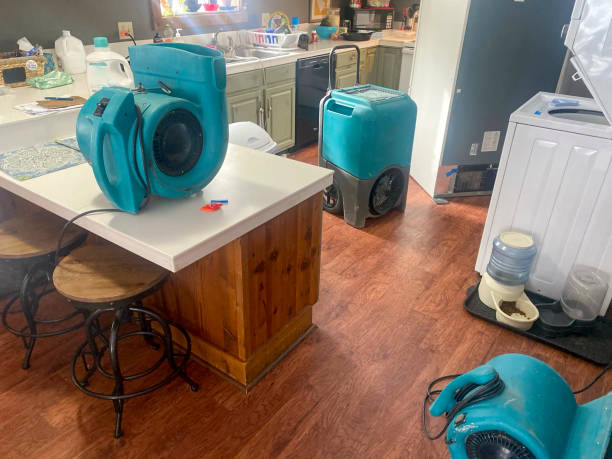 Trusted Mccaysville, GA Water damage restoration Experts