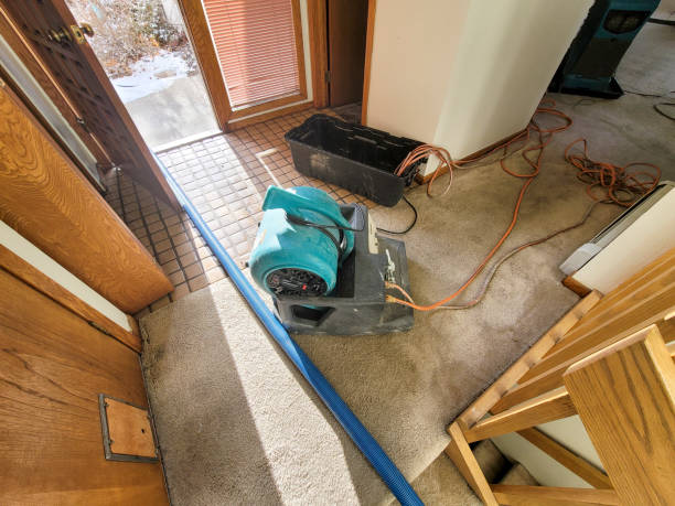 Best Water damage cleanup near me  in Mccaysville, GA
