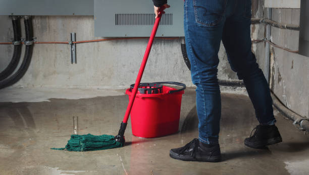 Best Water damage restoration mold remediation  in Mccaysville, GA