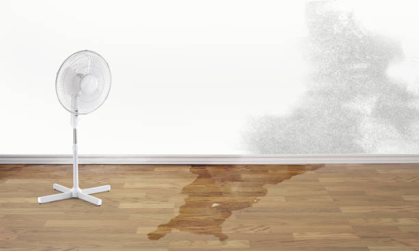 Water damage restoration experts in Mccaysville, GA