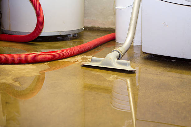 Water damage restoration mold remediation in Mccaysville, GA