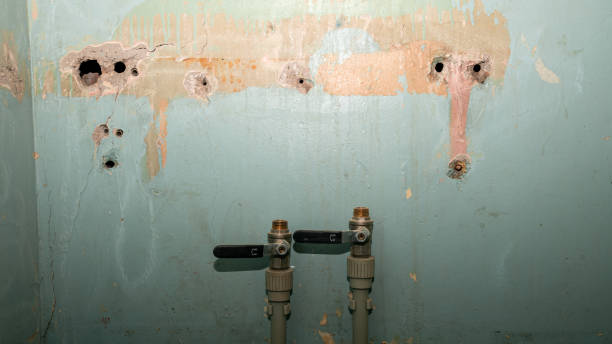 Best Flooded house restoration  in Mccaysville, GA