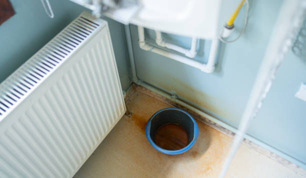 Best Mold removal after water damage  in Mccaysville, GA