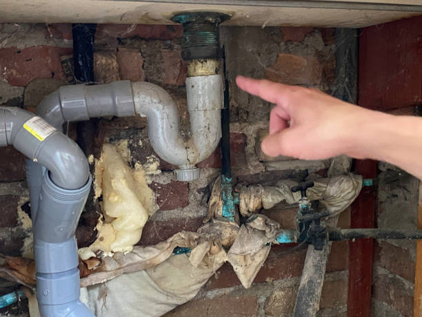 Best Carpet water damage restoration  in Mccaysville, GA